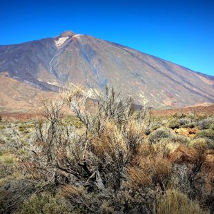 Tenerife
